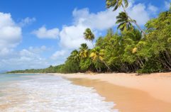 Préparer votre séjour : checklist pour des vacances réussies en Martinique